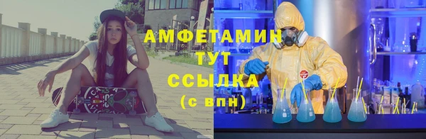 винт Алзамай