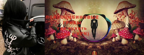мяу мяу мука Алексеевка