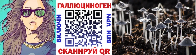 Галлюциногенные грибы Magic Shrooms  Бавлы 